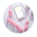 さくらの恋猫はどこで買える?通販や店舗で売ってる?